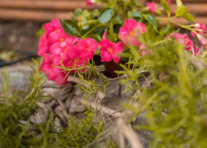 Jureka Sea View 1 Cefalù
